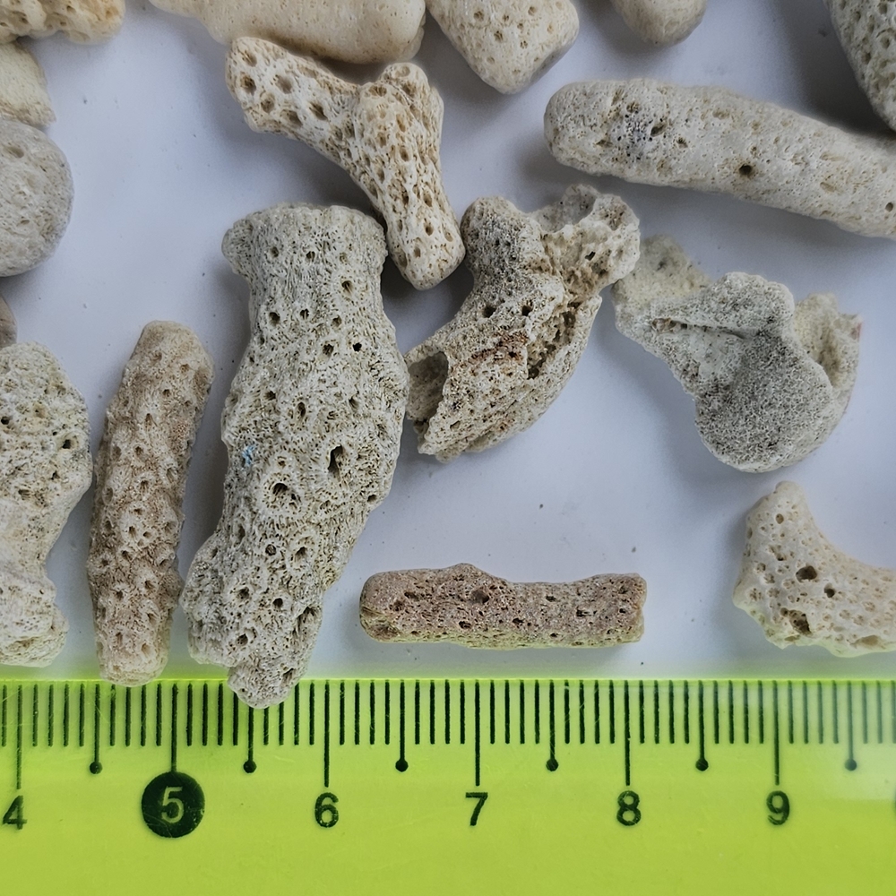 산호사,소포장1봉 고품질의 산호모래, 수족관바닥재coral - 상세 이미지 3