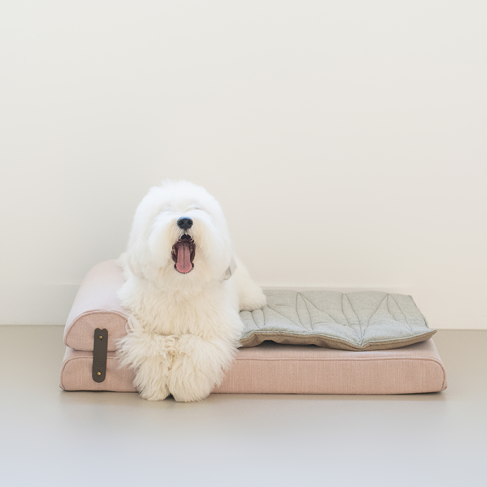모어밀리 강아지 고양이 침대 올데이 베드 쇼파 해먹 이미지 6