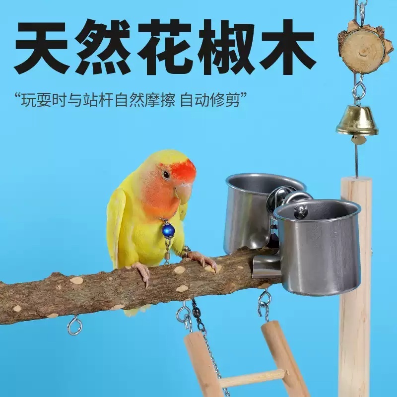 앵무새 놀이터 스탠드 횟대 사다리 조류 애완조 사육장 새 그네 용품 장난감 - 상세 이미지 5
