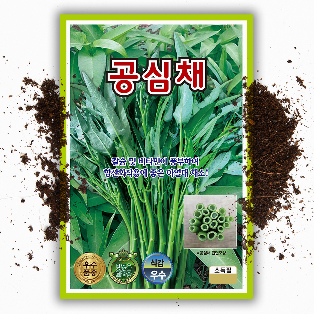 대포장공심채씨앗 100g 모닝글로리 동남아 채소 이색 씨앗 종자 대용량 - 상품 이미지