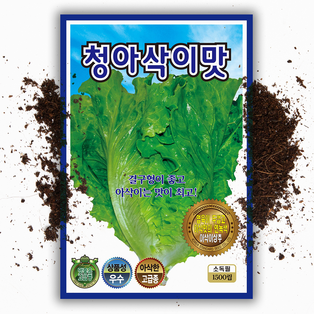 청 아삭이 상추씨앗 1500립 쌈채소 아삭 상추 씨 종자 - 상품 이미지