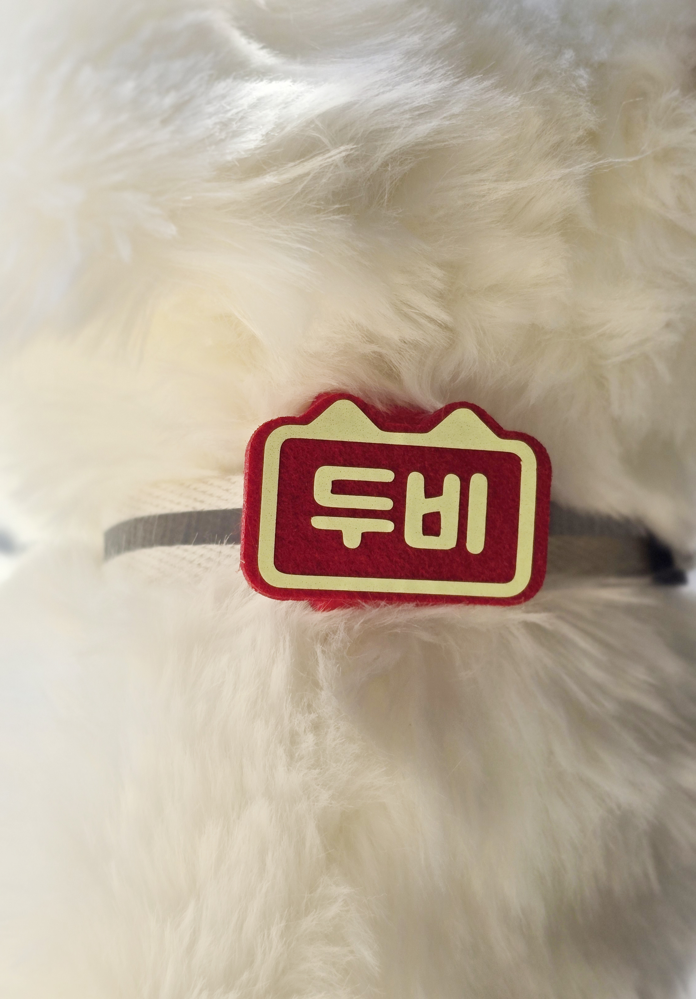 야광 강아지 네임택 인식표 이름표 애견명찰 - 상세 이미지 3