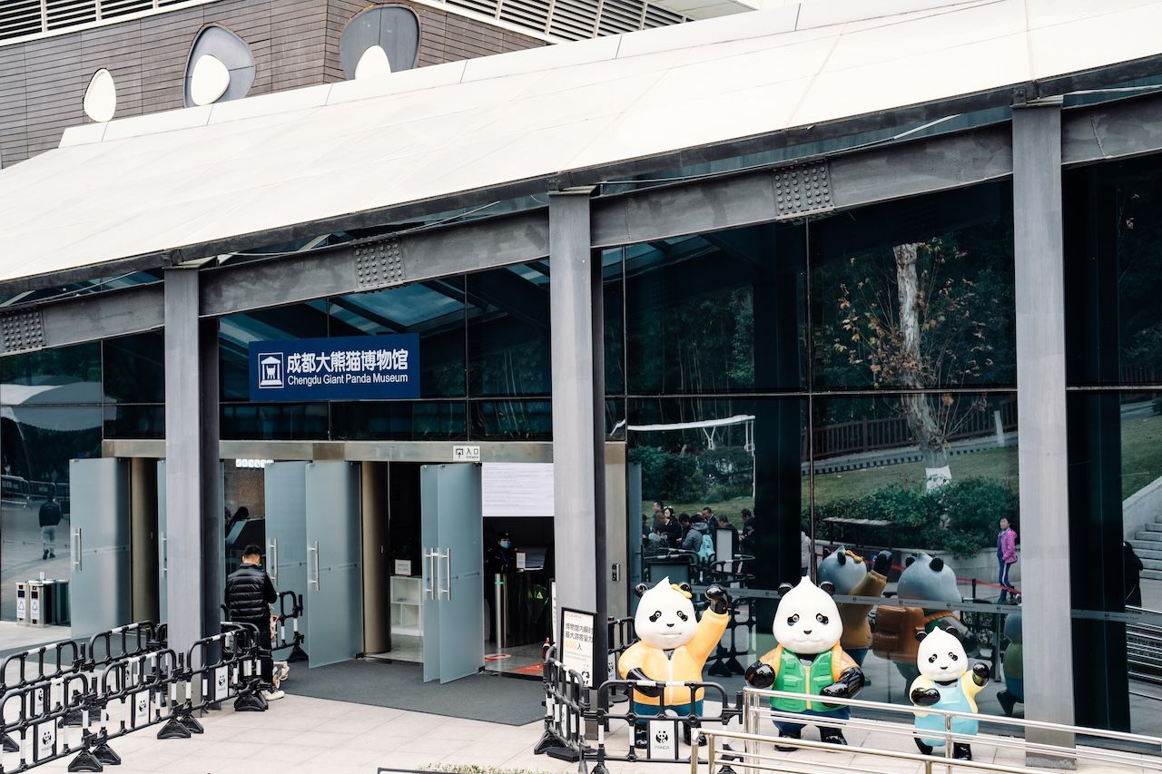 중국 청두 자이언트 판다 기지 입장권 + 가이드 해설(한국어) - 상세 이미지 4