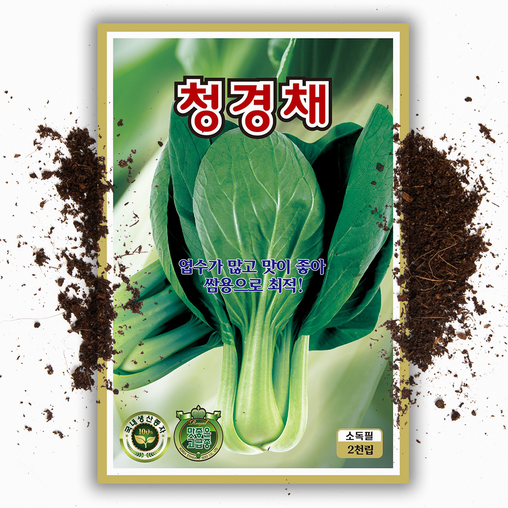 청경채씨앗 2000립 국내산 쌈채소 청경채 키우기 종자 씨 - 상품 이미지