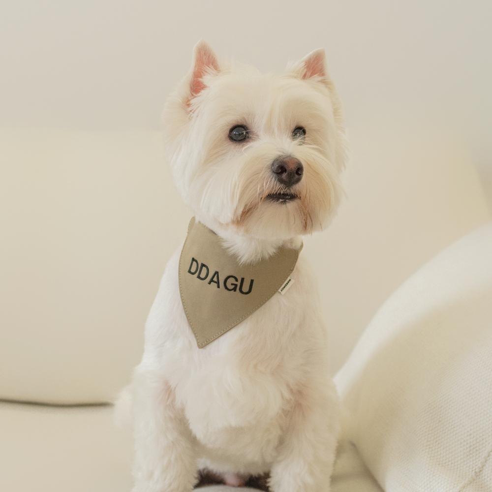 모어밀리 강아지 고양이 자수 케이프 스카프 네이밍 반다나 턱받이