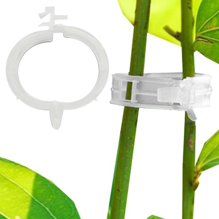 덩쿨 줄기 고정대 클립 식물클립 화초 - 메인 이미지