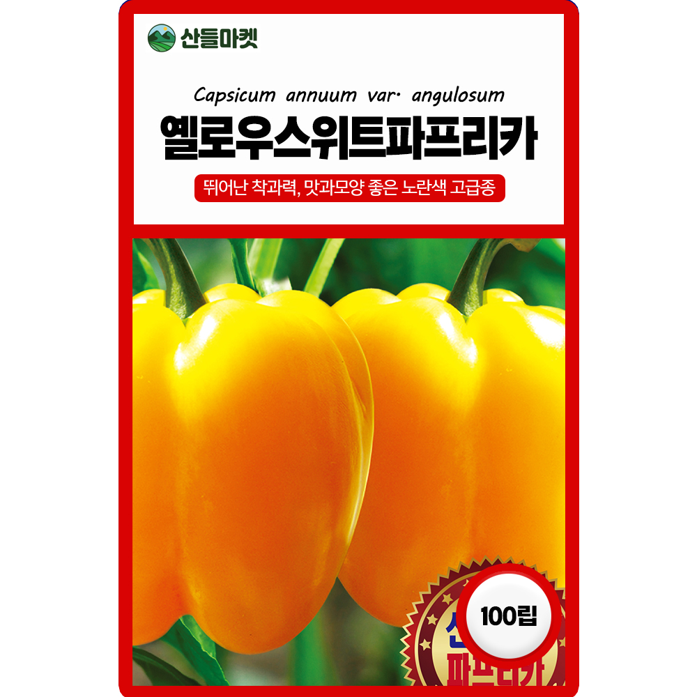 산들마켓 옐로우스위트 파프리카 씨앗 100립 뛰어난 착과력 모양 좋은 노란색 외국 수입고급 품종 : 산들마켓샵