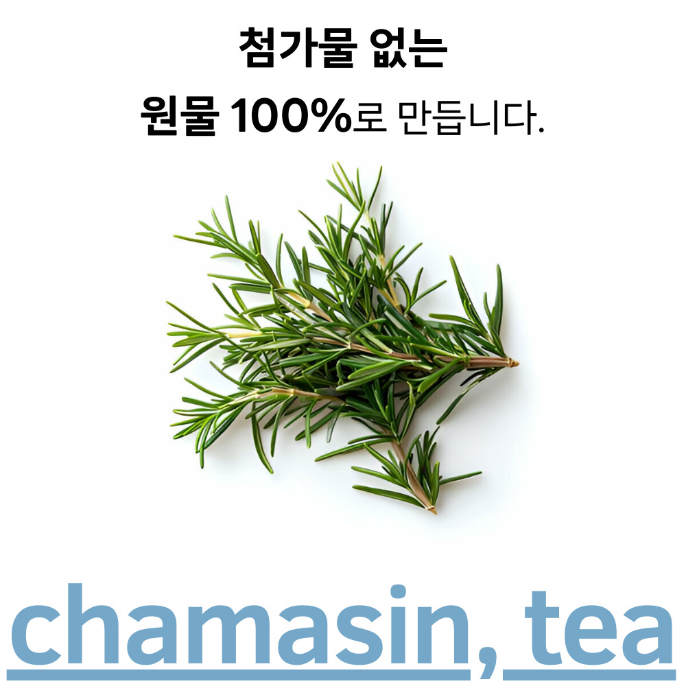 [50티백] 로즈마리티 로즈마리 티백 카페인없는 차 티 50개입, 1개 - 상세 이미지 2