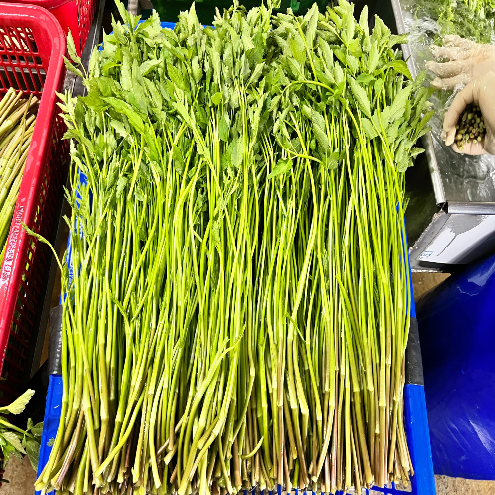 미나리 청도 무침 제철 산지 비빔밥재료 미나리 1kg - 상세 이미지 3