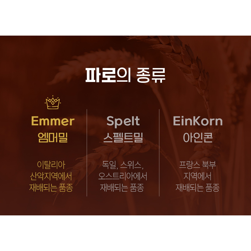 뉴일리 역가수치높은 파로 발효 효소 곡물 엠머밀 분말 가루 스틱 누룽지맛 이미지 6