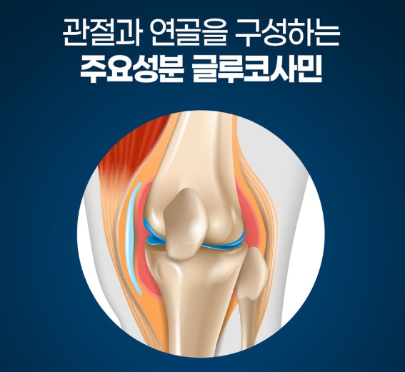 종근당 글루코사민 플러스 3개월분 관절 영양제 msm 연골 건강 - 상세 이미지 5