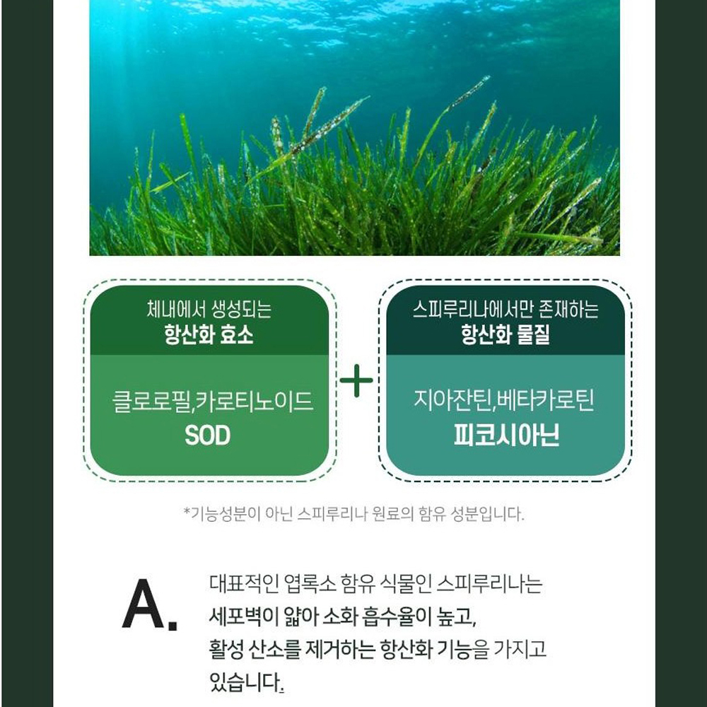 항산화 식물성 스피루리나 엽록소 10mg 지아잔틴 베타카로틴 피코시아닌 스피리루나 스피루나 - 상세 이미지 4