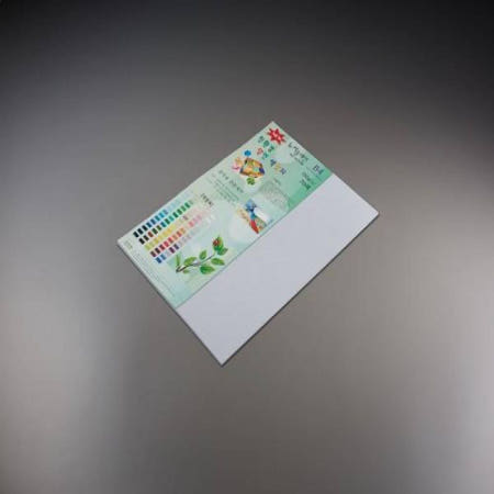 종이문화 (에픽스토어) 종이문화 뉴씨플레인 B4 120g(10매)52.라벤더