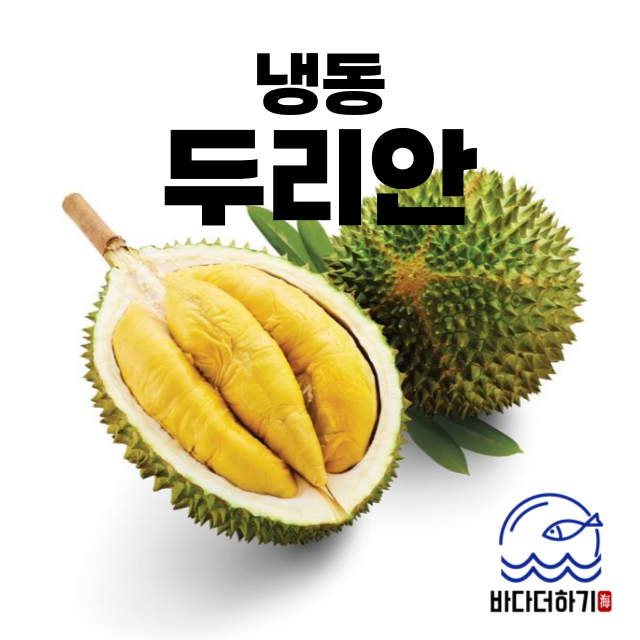 냉동 두리안 500g 열대과일 천상의과일 500g 1개 : 칠자백성