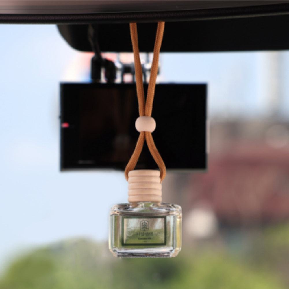 리얼편백 피톤치드 편백오일 천연 차량용 방향제 편백향, 10ml, 1개