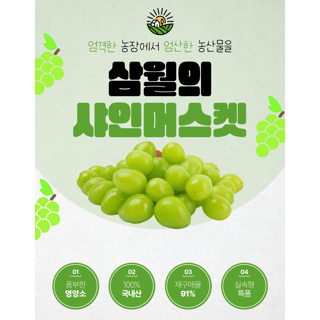 고당도 샤인머스켓 씨없는 포도 가정용 특품 2kg 2 3... 1박스 : 칠자백성