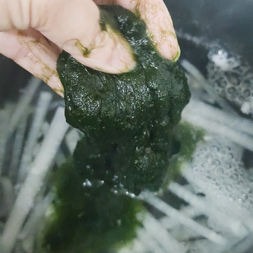 당일채취 세척손질 전북 완도매생이 햇 생매생이 떡국 400g - 상세 이미지 3