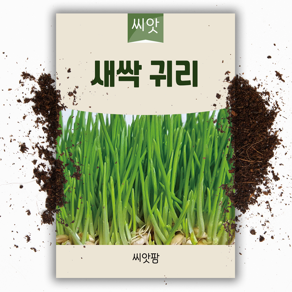 새싹씨앗 귀리 새싹채소 귀리싹 키우기 - 상품 이미지
