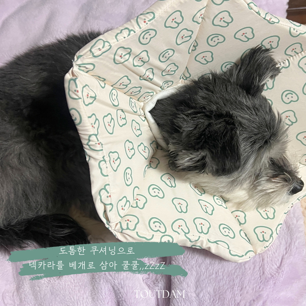 강아지 넥카라 아기 고양이 중성화 넥카라 중형견 대형견 발사탕 - 상세 이미지 4