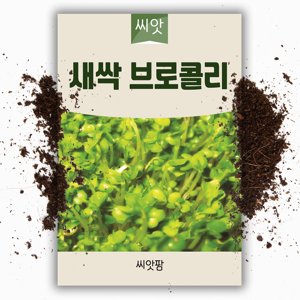 새싹씨앗 브로콜리 새싹채소 브로콜리 키우기 - 상품 이미지