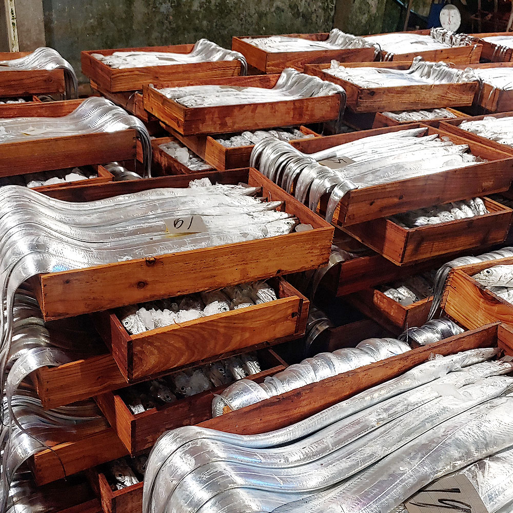 제주 은갈치 특대 400g 3마리, 특특대 550g 2마리 (갈치구이, 갈치조림, 냉동 갈치)