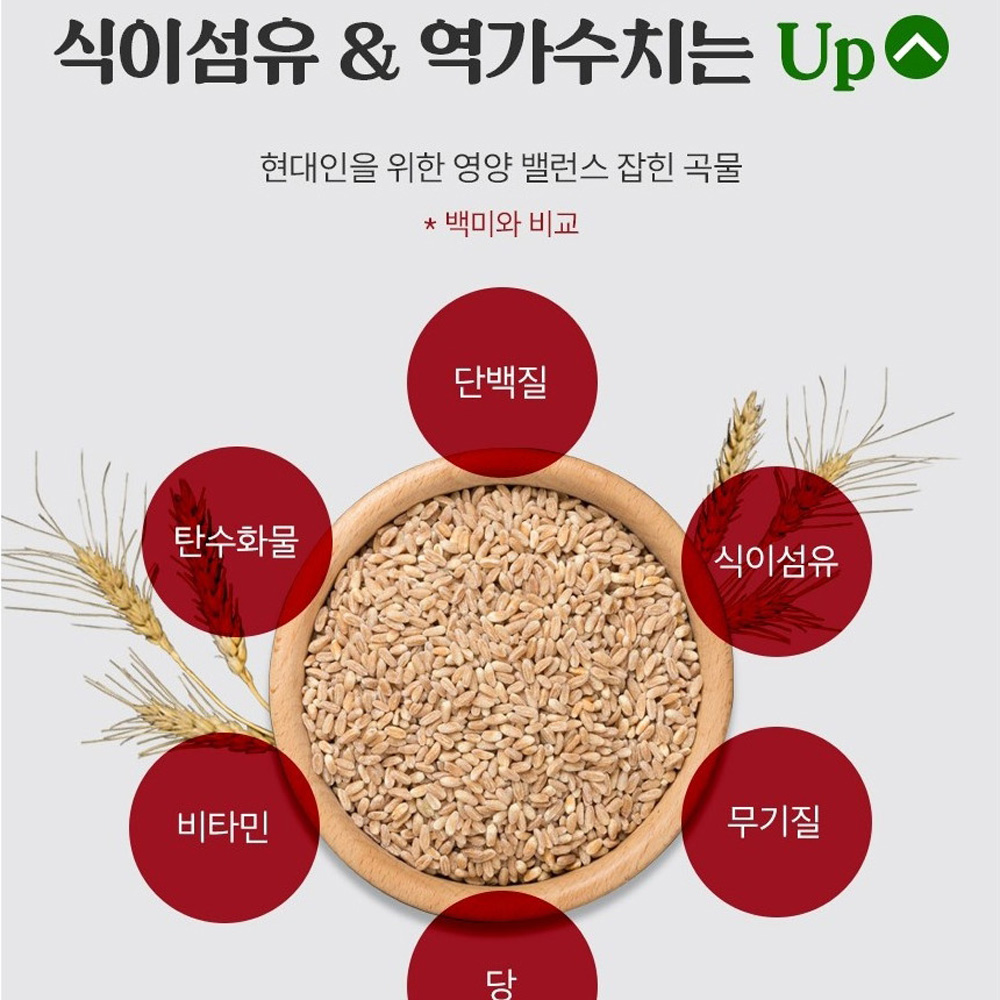 이탈리아 파로효소분말 3박스 효능 소화 파루 파라 파르 효소 가온 타로 아라비노자일란 이미지 6