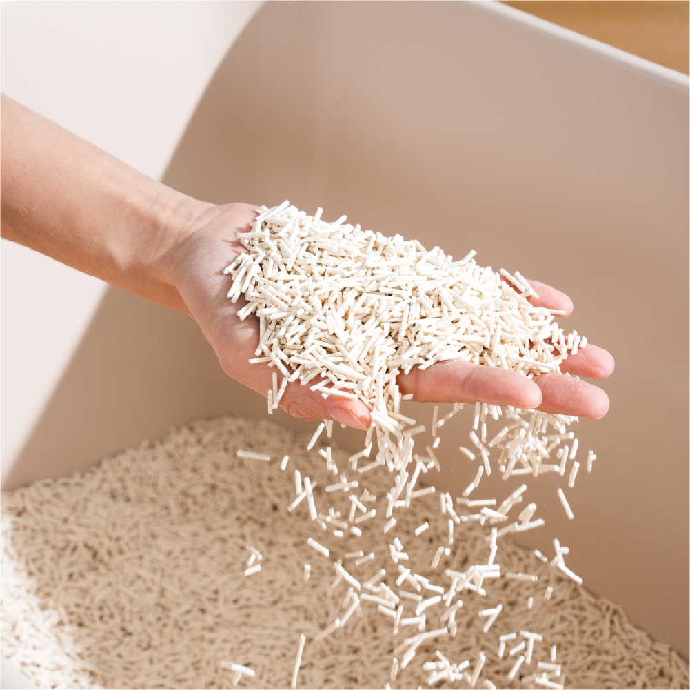 캣츠태그 두부모래 완두섬유 2.5kg 최상등급 이미지 4