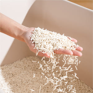 캣츠태그 두부모래 완두섬유 2.5kg 최상등급 솔직 후기 | 실제 사용자 리뷰 총정리 - 상품 이미지 4