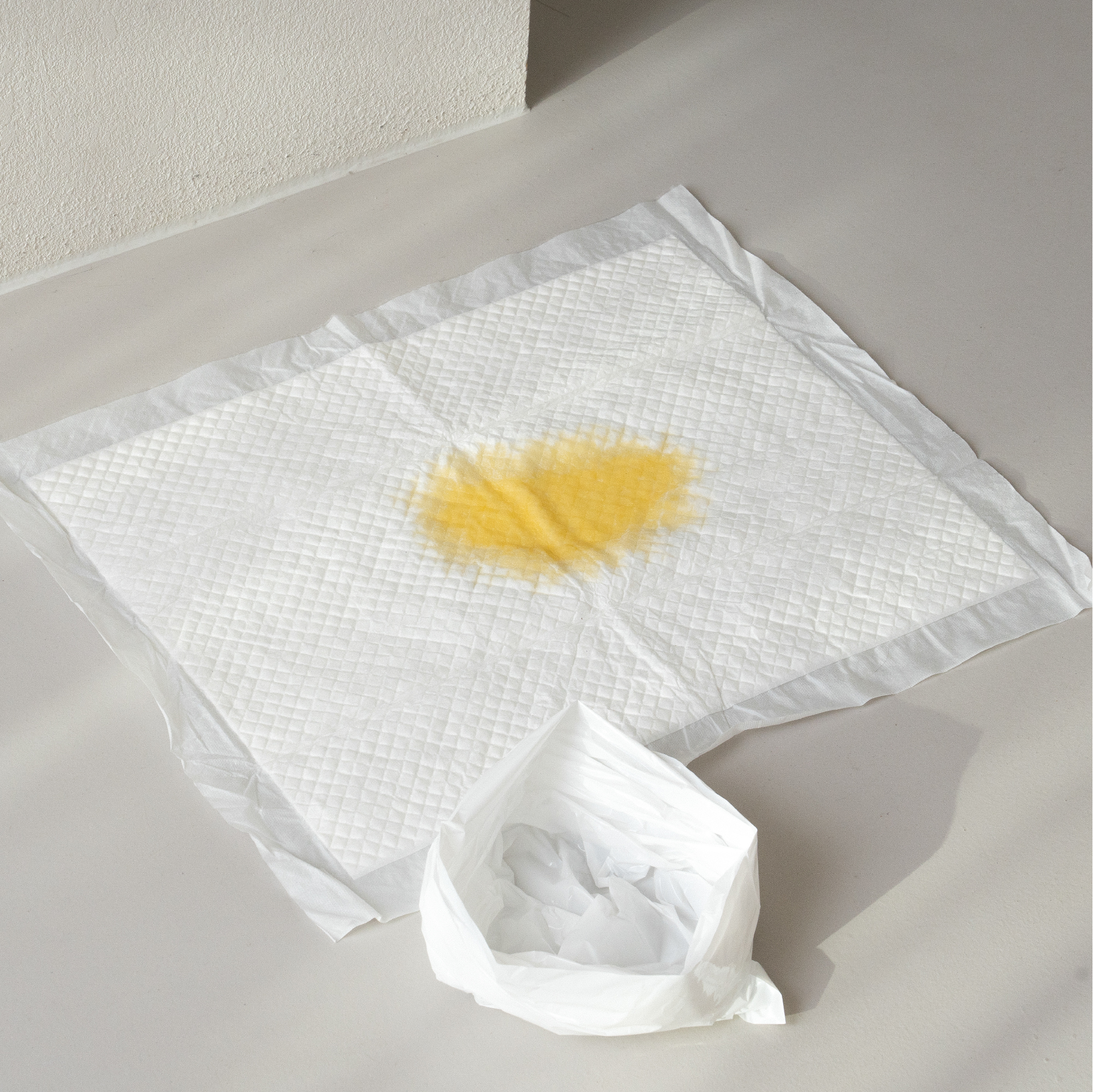 쏜쓰백 고양이 냄새차단 무향 배변봉투 100매 XS