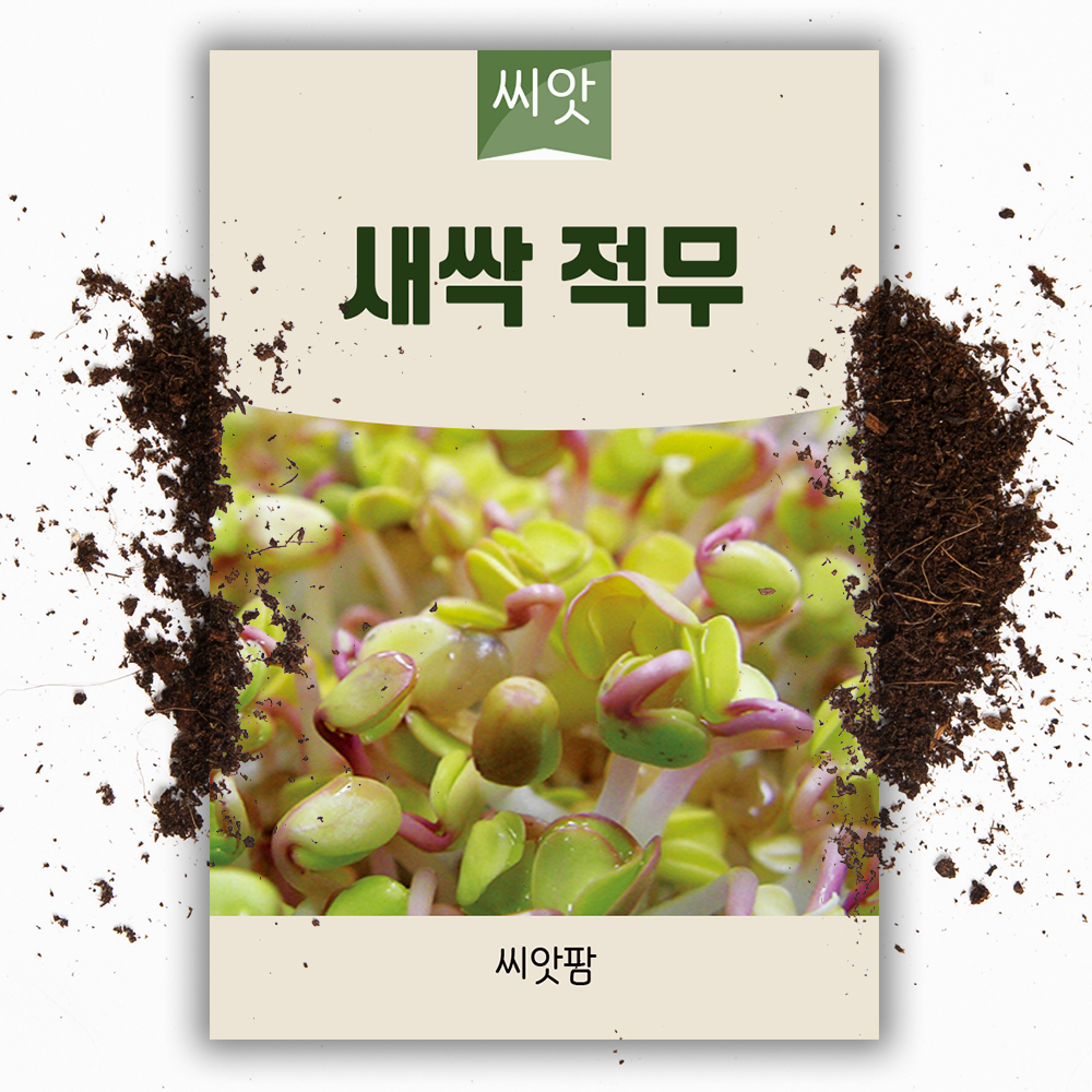 새싹씨앗 적무 새싹채소 무순 키우기 - 상품 이미지