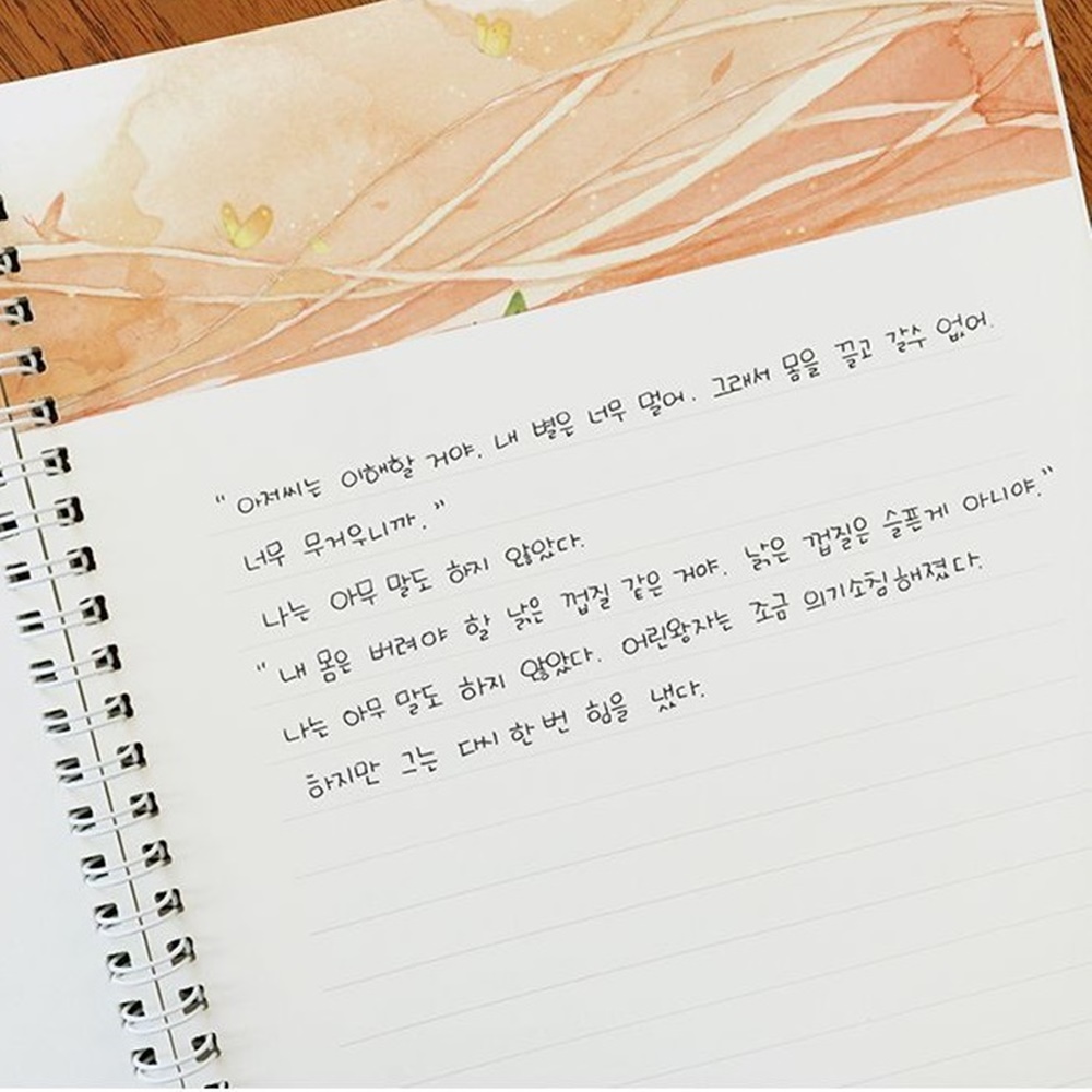 어린왕자 필사 노트 손 글씨 연습 교정 - 상세 이미지 4