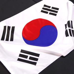 [방수처리] 태극기 100%국산 엉킴방지 대형 가정용 게양용 실사용 후기 | 효과 있을까? - 상품 이미지 2