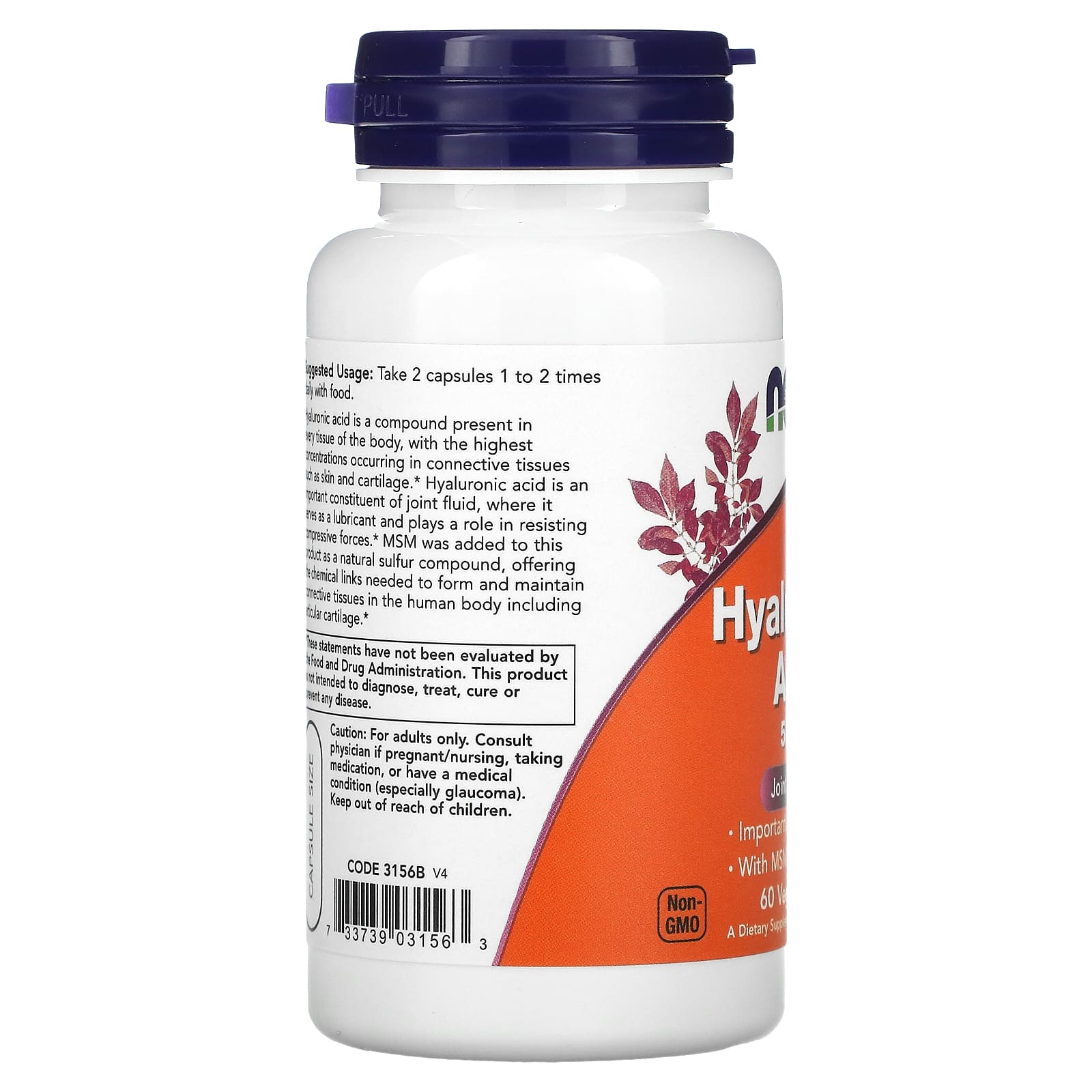 나우푸드 히알루론산 100mg MSM 직구 식이유황 60캡슐, 1개 - 상세 이미지 5