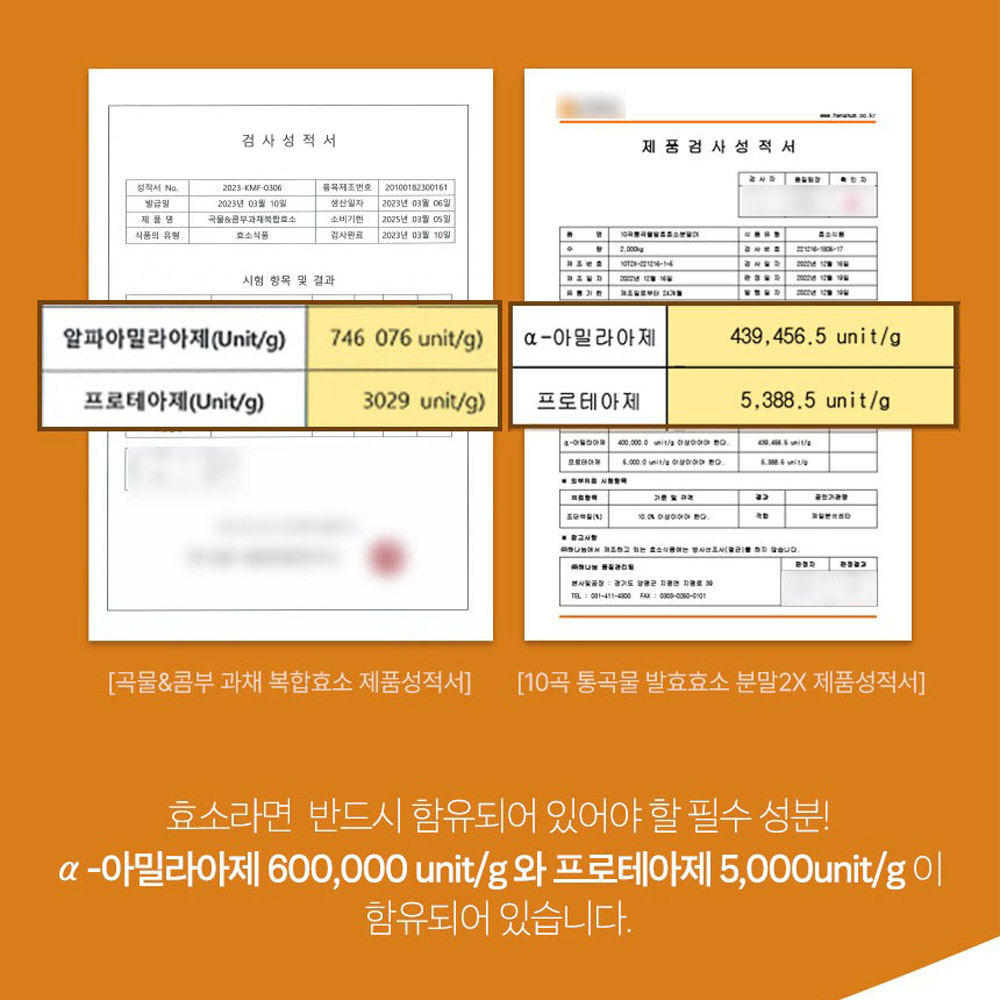 캐나다카무트 호라산밀 3통 분말 가루 곡물 홈쇼핑 카므트효소 카무드 카뮤트 KAMUT 이미지 7