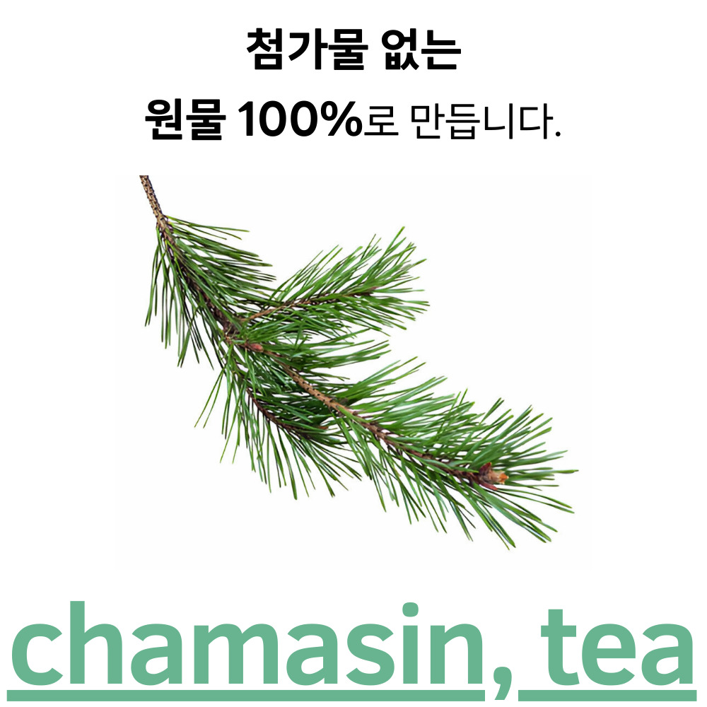 국산 솔잎차 50티백 카페인없는 혈액순환 차 - 상세 이미지 2