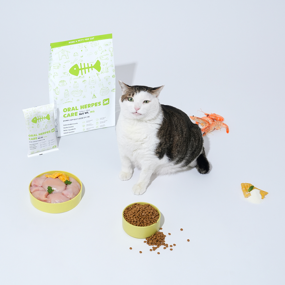본아페티 구내염 허피스 고양이 사료 구강 면역력 기능성 오랄앤허피스케어 닭고기, 1kg, 1개 - 상세 이미지 4