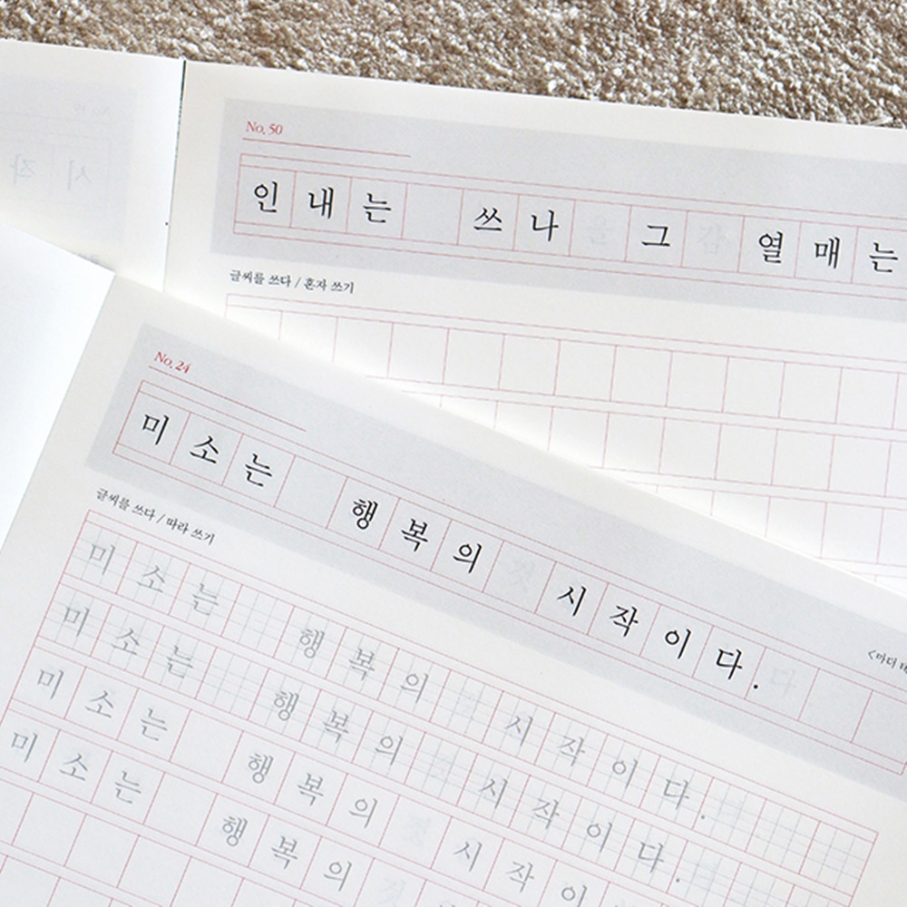 한줄 명언 필사 바른 손 글씨 연습 성인 글씨 교정 글씨체 교정책 - 상세 이미지 4