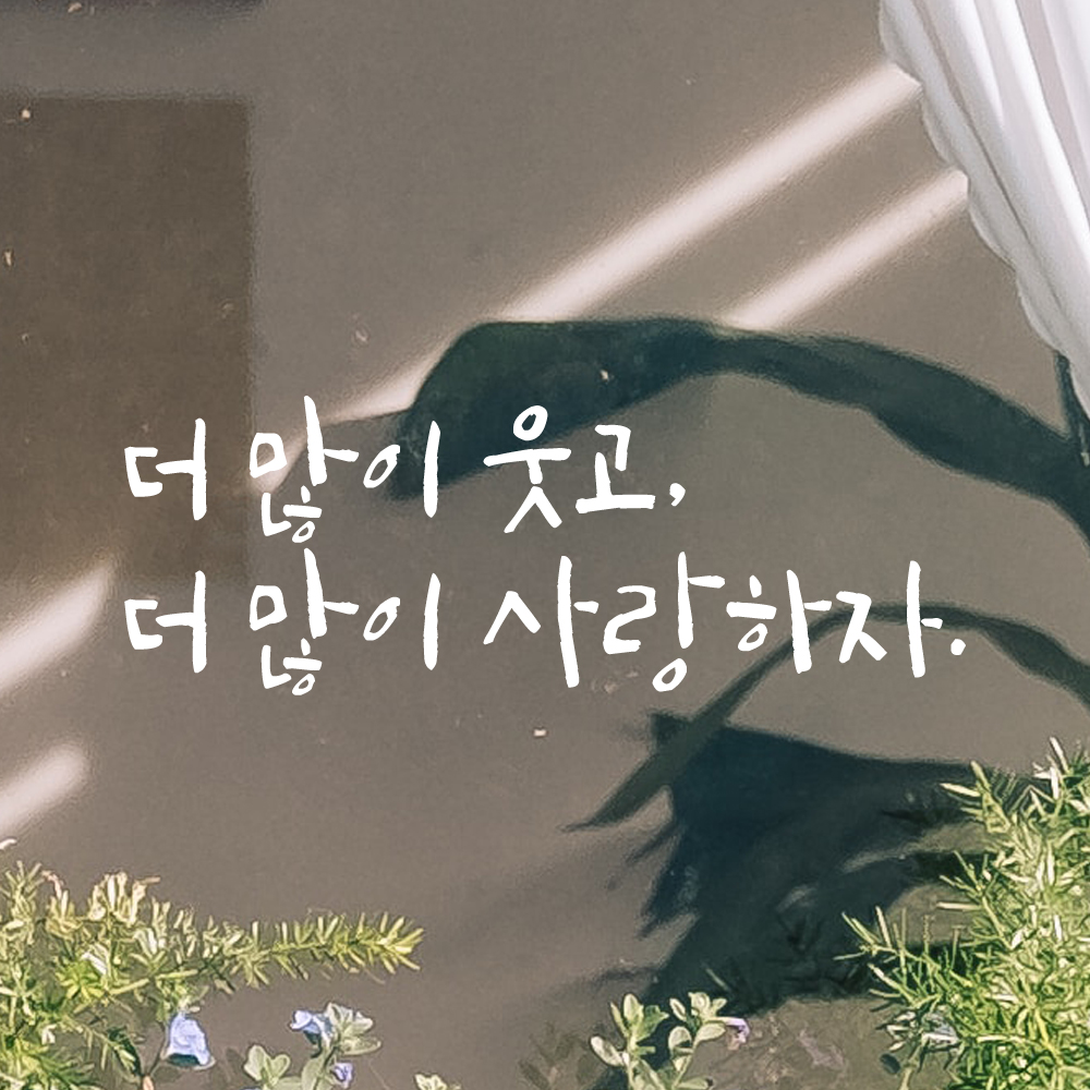 캘리그라피 레터링 스티커 더 많이 웃고 사랑하자 검정 S - 상세 이미지 3
