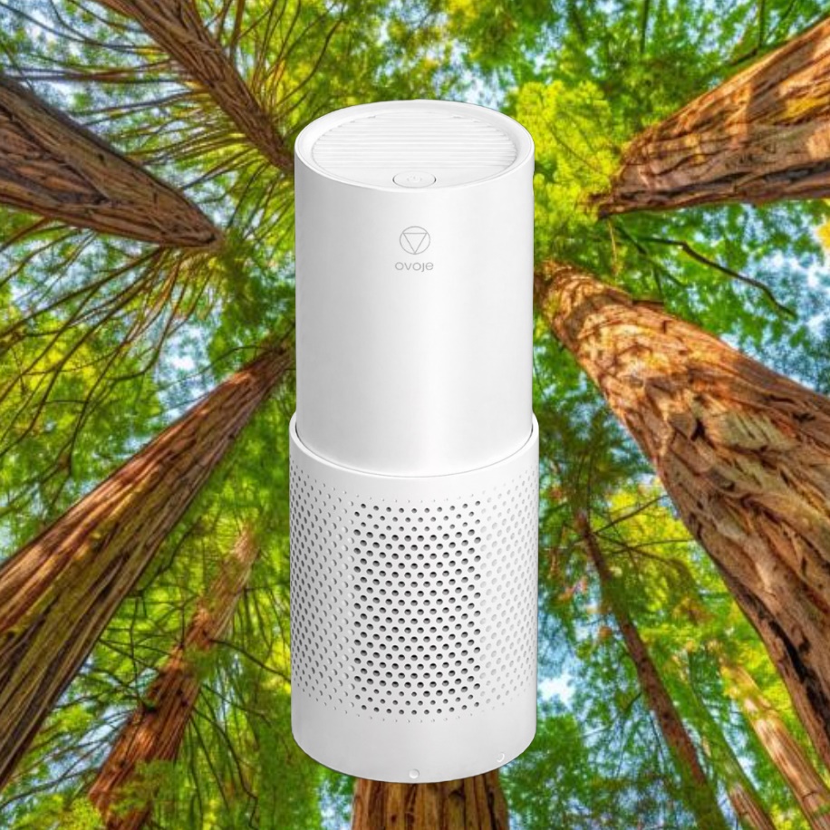 오브제 공기청정기 책상 고양이 아기방 공기청정기 펫