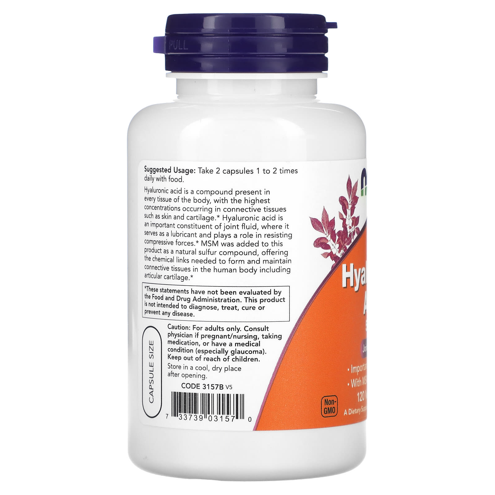 나우푸드 히알루론산 100mg MSM 직구 식이유황 120캡슐, 2개 - 상세 이미지 3