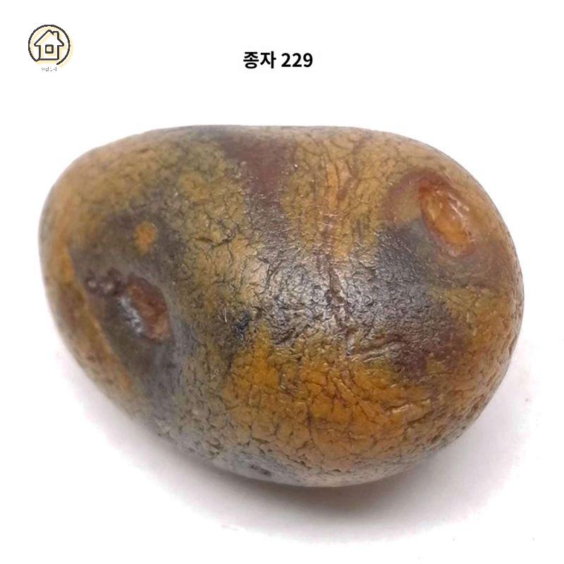 받침대 전시대 진열대 수석 타원형 좌대 나무 돌받침대 라운드 이미지 6