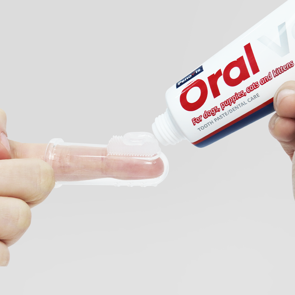 페노비스 고양이 강아지 칫솔 구취 치석제거 초미세모 손가락 실리콘 2종 세트 오랄브러쉬