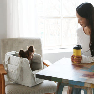 초코펫 강아지 이동 가방 기내용 슬링백 대중교통 에브리데이 캐리온백 아이... 솔직 후기 | 실제 사용자 리뷰 총정리 - 상품 이미지 2