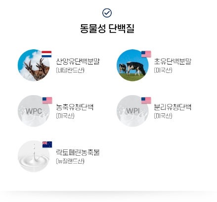 관절엔 MBP앤 콘드레이친1200 콘도리치 콘트로이친 콘드리치 콘로도친 NBP 이미지 7