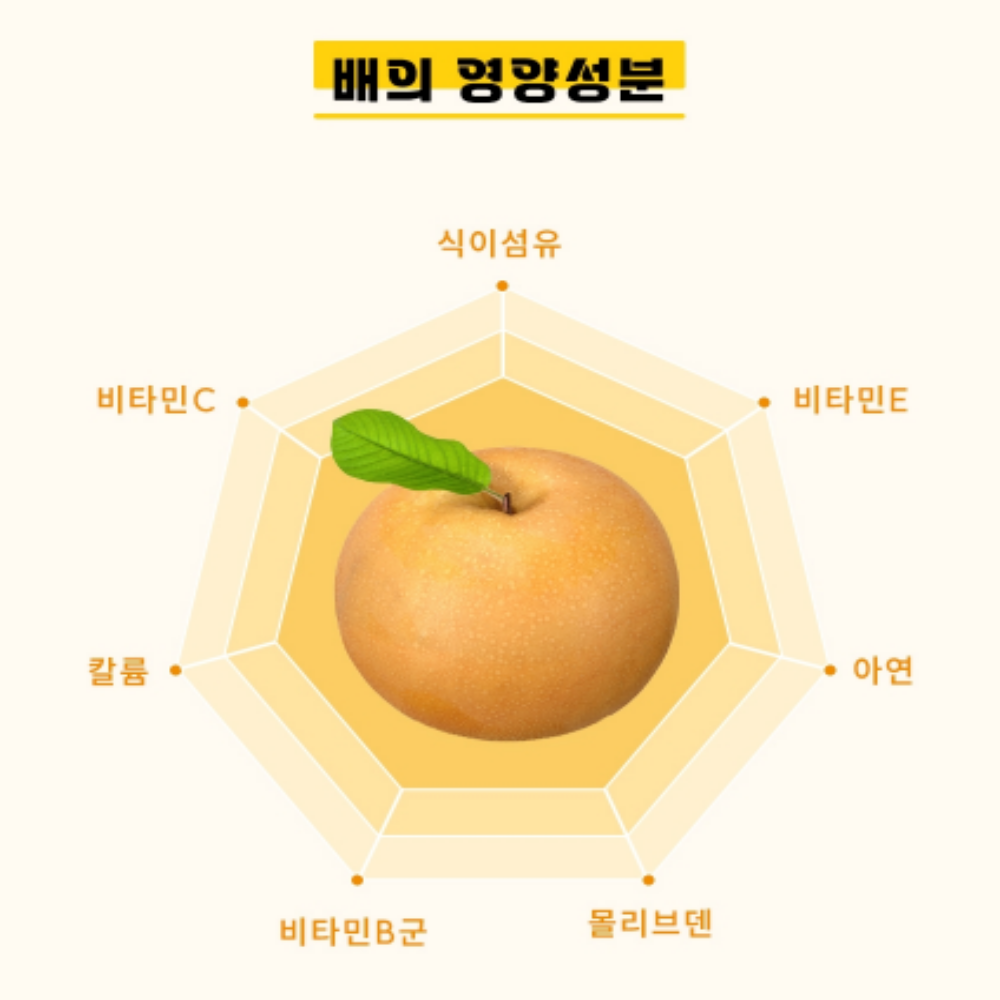 도라지 배즙 꿀 스틱 100포 선물세트 - 상세 이미지 5