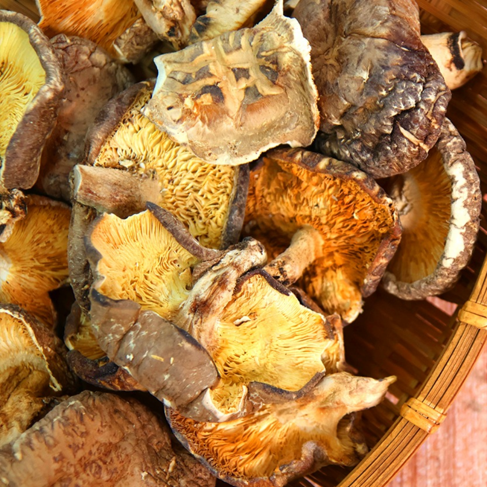 [국산] 건표고버섯 통 표고버섯 500g, 1개