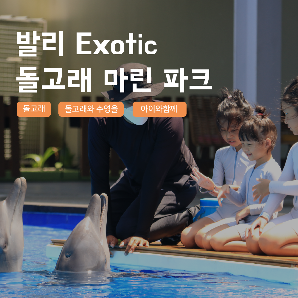 [발리] 발리 이그소틱 마린 파크 돌고래체험 해양 수상 액티비티