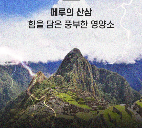 블랙마카 엘아르기닌 60정 고함량 페루산 젤라틴 흑마늘 야관문 아르지닌 홍삼 활력 이미지 6