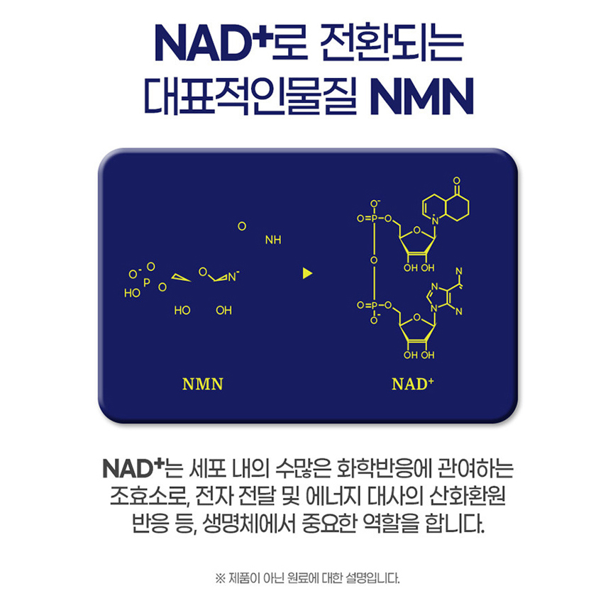 식물성 NMN 파이토 엔엠엔 25mg 브로콜리 추출분말 정 효능 2박스 - 상세 이미지 4