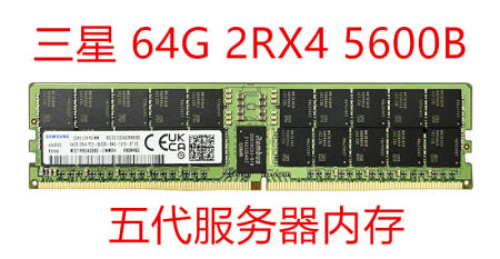 Samsung SK Micron 기존 64G 96G DDR5 4800 5600 ECC REG 서버 메모리